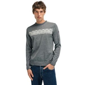 DALE OF NORWAY
Stenberg Merino Wool Crew Men’s Sweater - Lightweight, Small gray